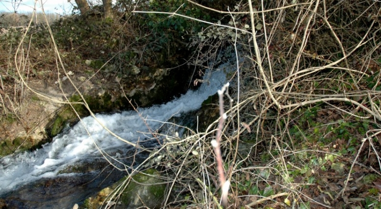 Le ruisseau de la Gorette près du Moulin Neuf. (Ph. J. CHASSAGNE - JP GUILLOU 2009)